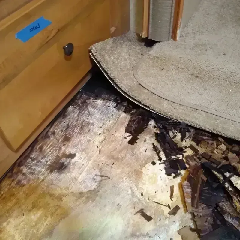 Wood Floor Water Damage in Hutchins, TX